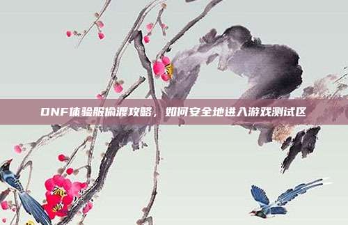 DNF体验服偷渡攻略,如何安全地进入游戏测试区