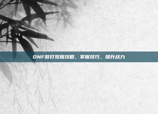 DNF散打觉醒攻略,掌握技巧,提升战力