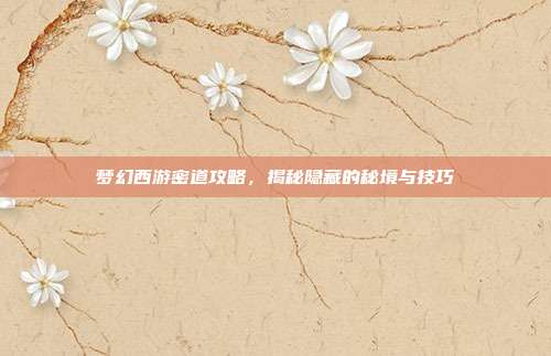梦幻西游密道攻略,揭秘隐藏的秘境与技巧