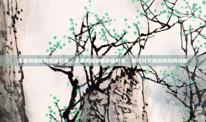 王者荣耀查看微信好友，王者荣耀查看微信好友，揭开社交迷宫背后的攻略
