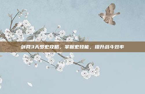 剑网3天罗宏攻略,掌握宏技能,提升战斗效率