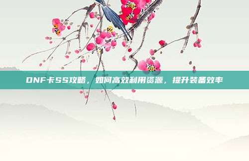 DNF卡SS攻略,如何高效利用资源,提升装备效率