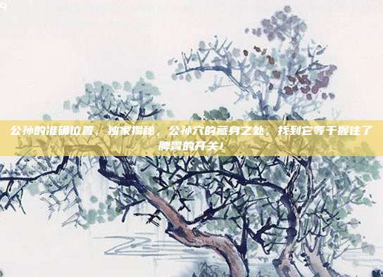 公孙的准确位置，独家揭秘，公孙穴的藏身之处，找到它等于握住了脾胃的开关！