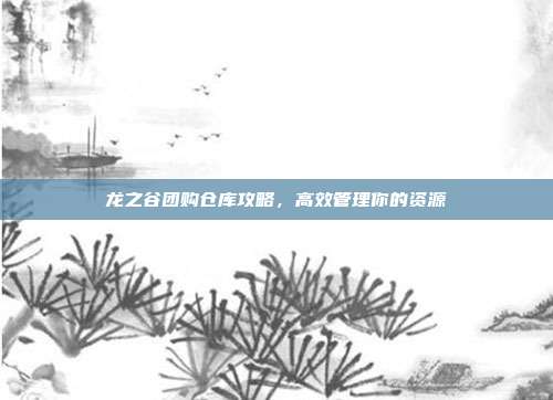 龙之谷团购仓库攻略,高效管理你的资源