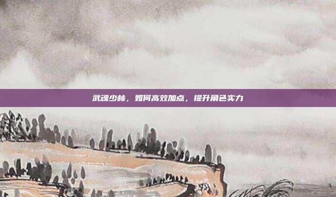 武魂少林,如何高效加点,提升角色实力