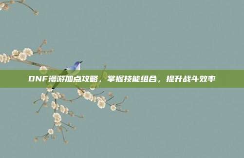 DNF漫游加点攻略,掌握技能组合,提升战斗效率