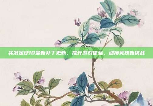 实况足球10最新补丁更新,提升游戏体验,迎接竞技新挑战