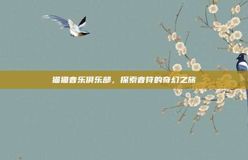猫猫音乐俱乐部，探索音符的奇幻之旅