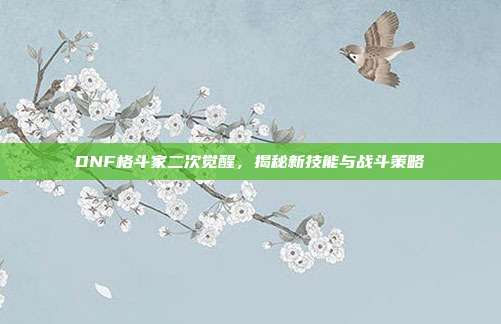 DNF格斗家二次觉醒,揭秘新技能与战斗策略