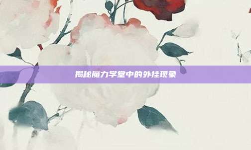 揭秘魔力学堂中的外挂现象