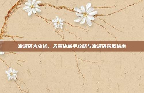 激活码大放送,天翼决新手攻略与激活码获取指南
