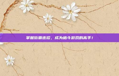 掌握街霸连招,成为格斗游戏的高手!