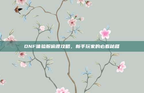 DNF体验服偷渡攻略,新手玩家的必看秘籍