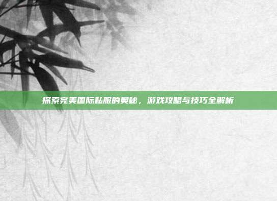 探索完美国际私服的奥秘,游戏攻略与技巧全解析
