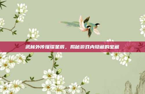武林外传璀璨星辰,揭秘游戏内隐藏的宝藏