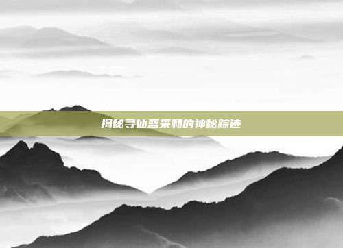 揭秘寻仙蓝采和的神秘踪迹