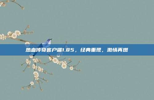热血传奇客户端1.85,经典重现,激情再燃