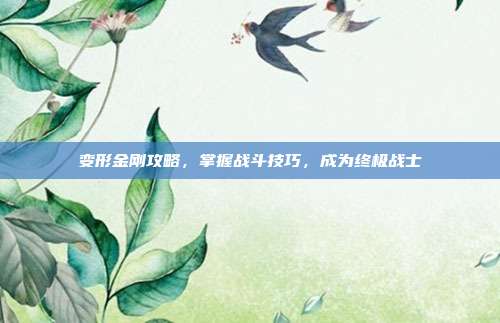 变形金刚攻略，掌握战斗技巧，成为终极战士
