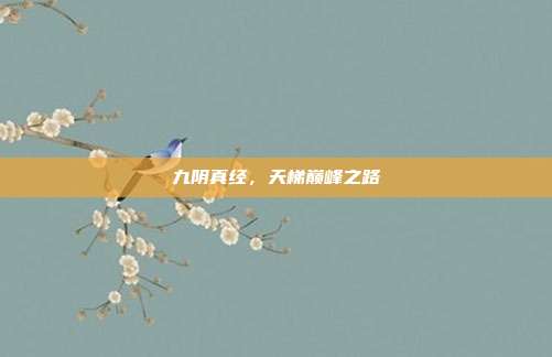 九阴真经,天梯巅峰之路