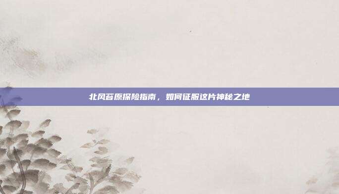 北风苔原探险指南,如何征服这片神秘之地