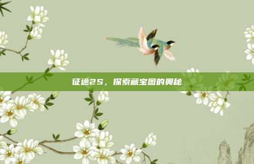 征途2S,探索藏宝图的奥秘