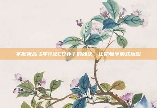 掌握极品飞车11免CD补丁的秘诀,让你畅享游戏乐趣