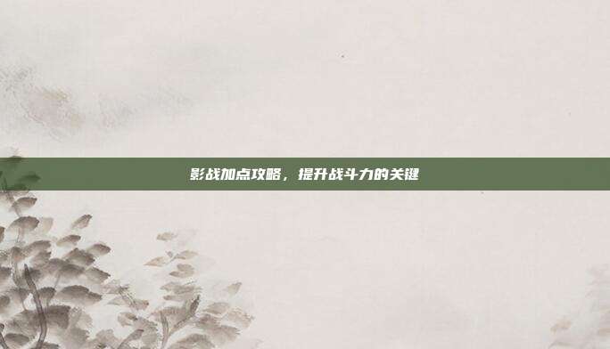影战加点攻略,提升战斗力的关键