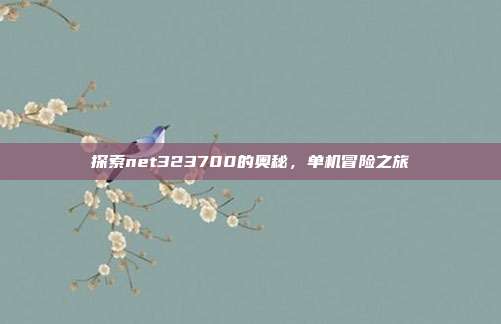 探索net323700的奥秘,单机冒险之旅
