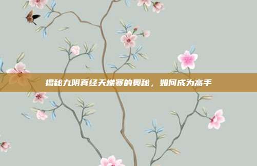 揭秘九阴真经天梯赛的奥秘,如何成为高手