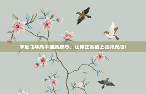 掌握飞车高手辅助技巧,让你在赛道上驰骋无阻!