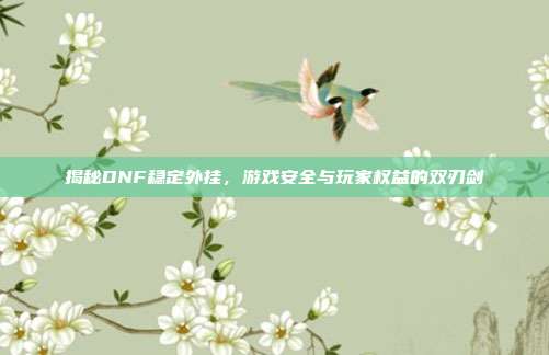揭秘DNF稳定外挂,游戏安全与玩家权益的双刃剑