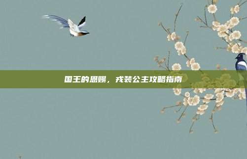 国王的恩赐,戎装公主攻略指南