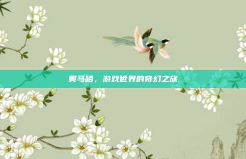 奥马哈，游戏世界的奇幻之旅