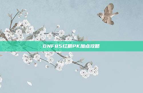 DNF85红眼PK加点攻略