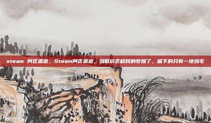 steam 阿区遣返，Steam阿区遣返，当低价区移民的梦醒了，留下的只有一地鸡毛