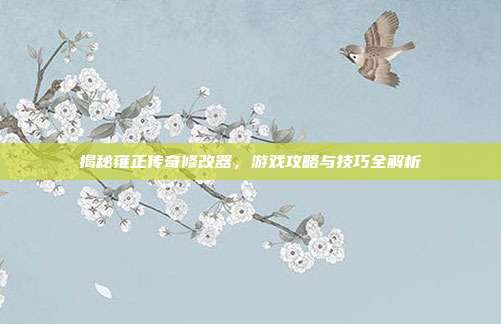 揭秘雍正传奇修改器,游戏攻略与技巧全解析