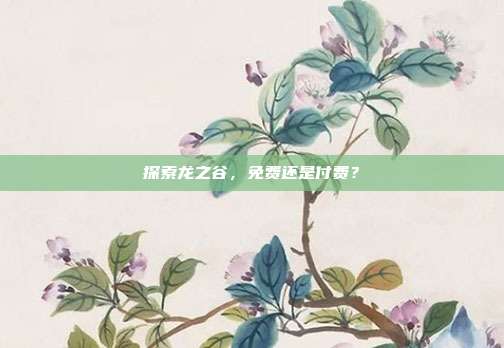 探索龙之谷,免费还是付费?