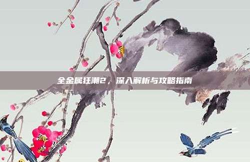 全金属狂潮2,深入解析与攻略指南