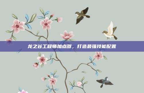 龙之谷工程师加点器,打造最强技能配置
