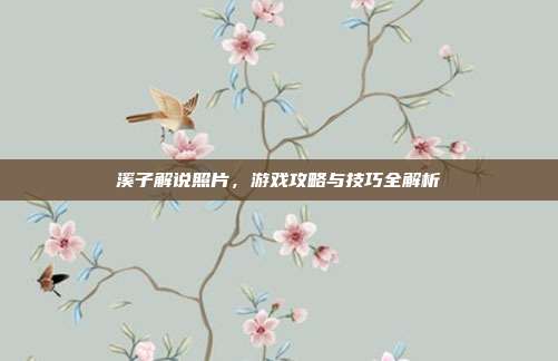 溪子解说照片,游戏攻略与技巧全解析