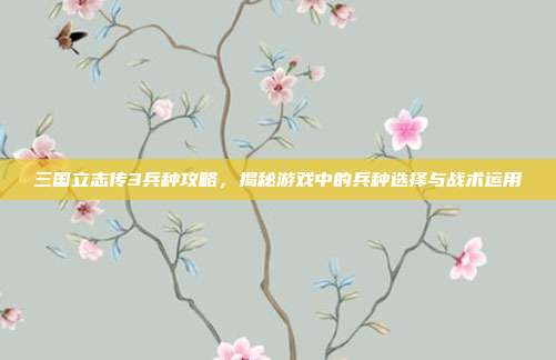 三国立志传3兵种攻略,揭秘游戏中的兵种选择与战术运用