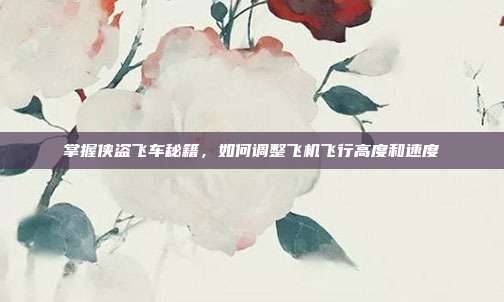 掌握侠盗飞车秘籍,如何调整飞机飞行高度和速度