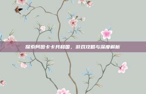 探索阿图卡卡共和国,游戏攻略与深度解析