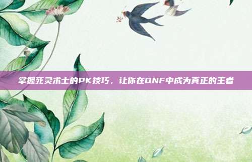 掌握死灵术士的PK技巧,让你在DNF中成为真正的王者