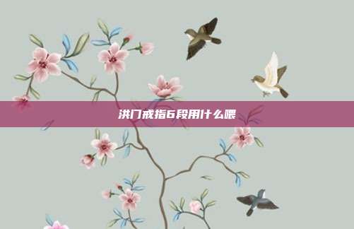 洪门戒指6段用什么喂