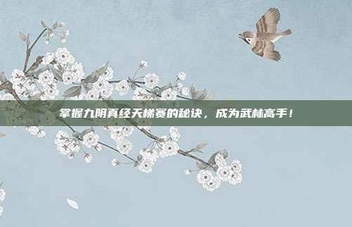 掌握九阴真经天梯赛的秘诀,成为武林高手!