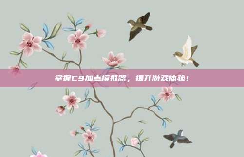 掌握C9加点模拟器,提升游戏体验!