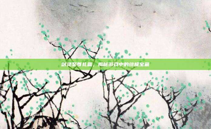 剑灵至尊礼盒,揭秘游戏中的终极宝藏