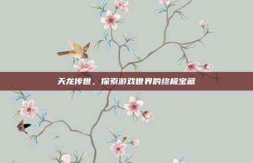 天龙传世,探索游戏世界的终极宝藏
