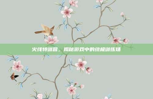 火线特训营,揭秘游戏中的终极训练场